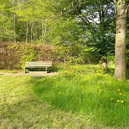 Casa vacanze The Forest With Petanque Court *