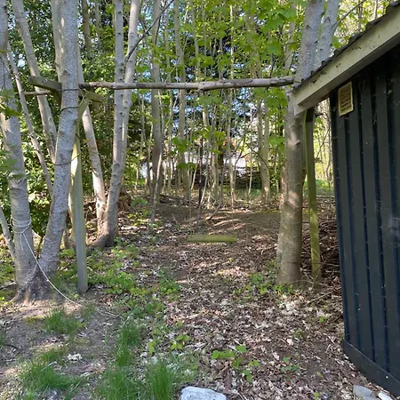 The Forest With Petanque Court